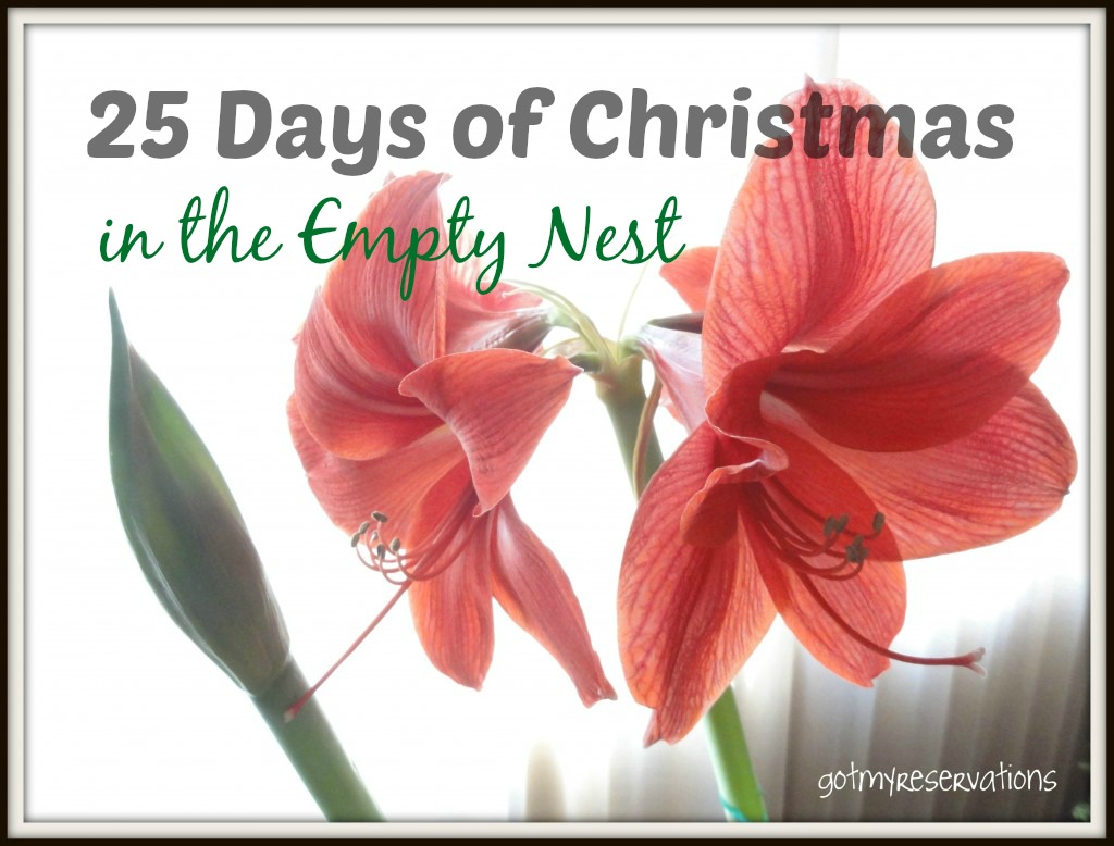 25 Days of Christmas 2013 Intro