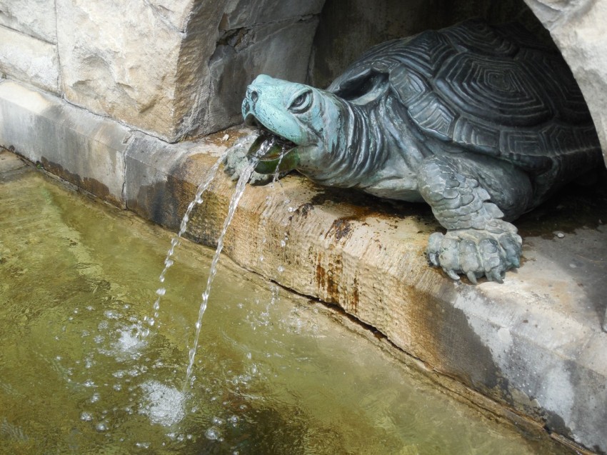 GotMyReservations Biltmore Turtle Fountain