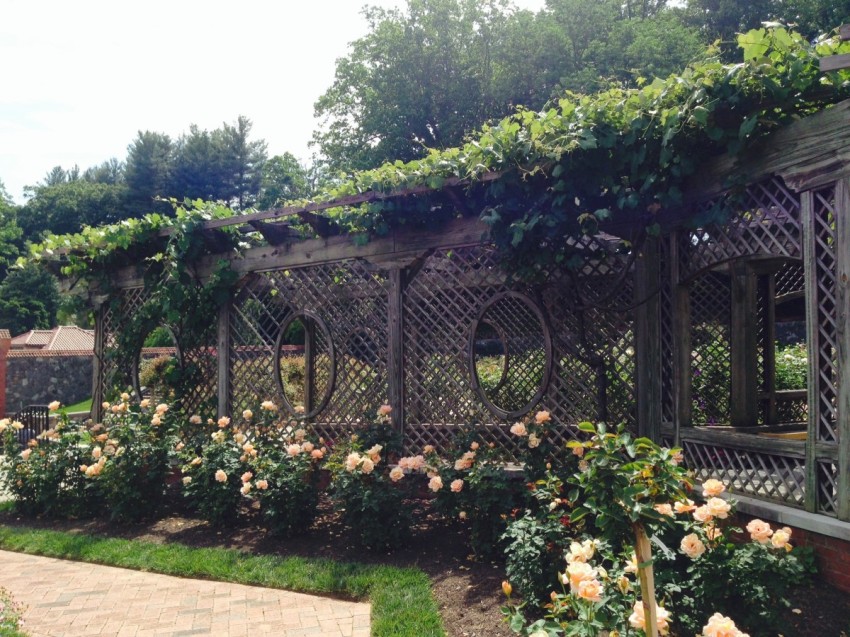 GotMyReservations Biltmore Walled Garden Pergola