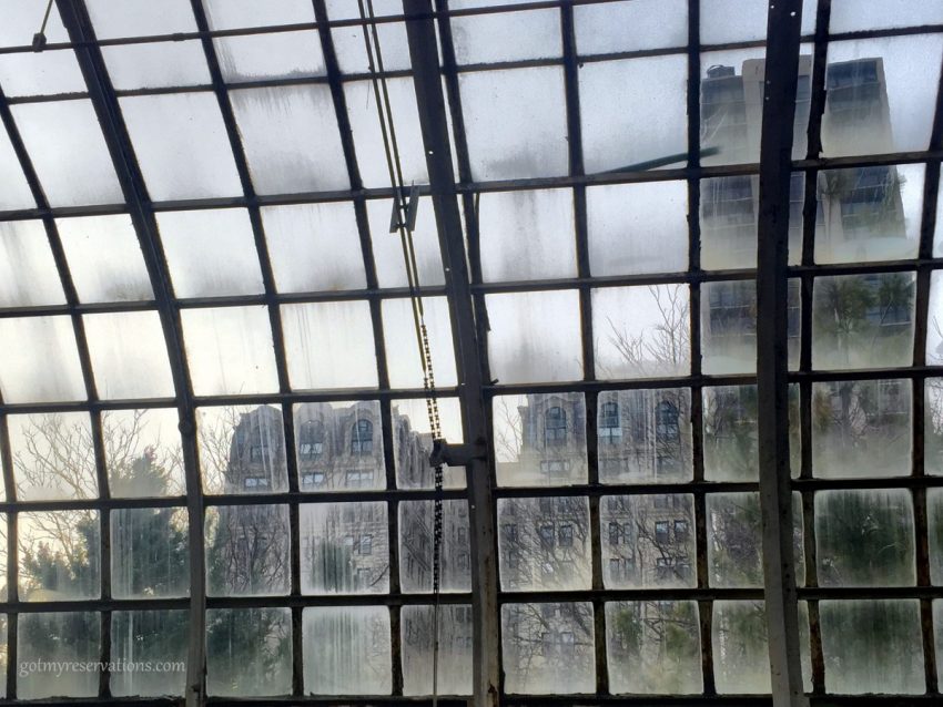 lincoln park conservatory windows